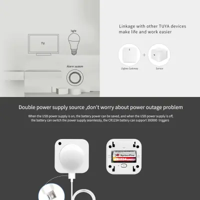 PIR+Brightness Sensor (12)